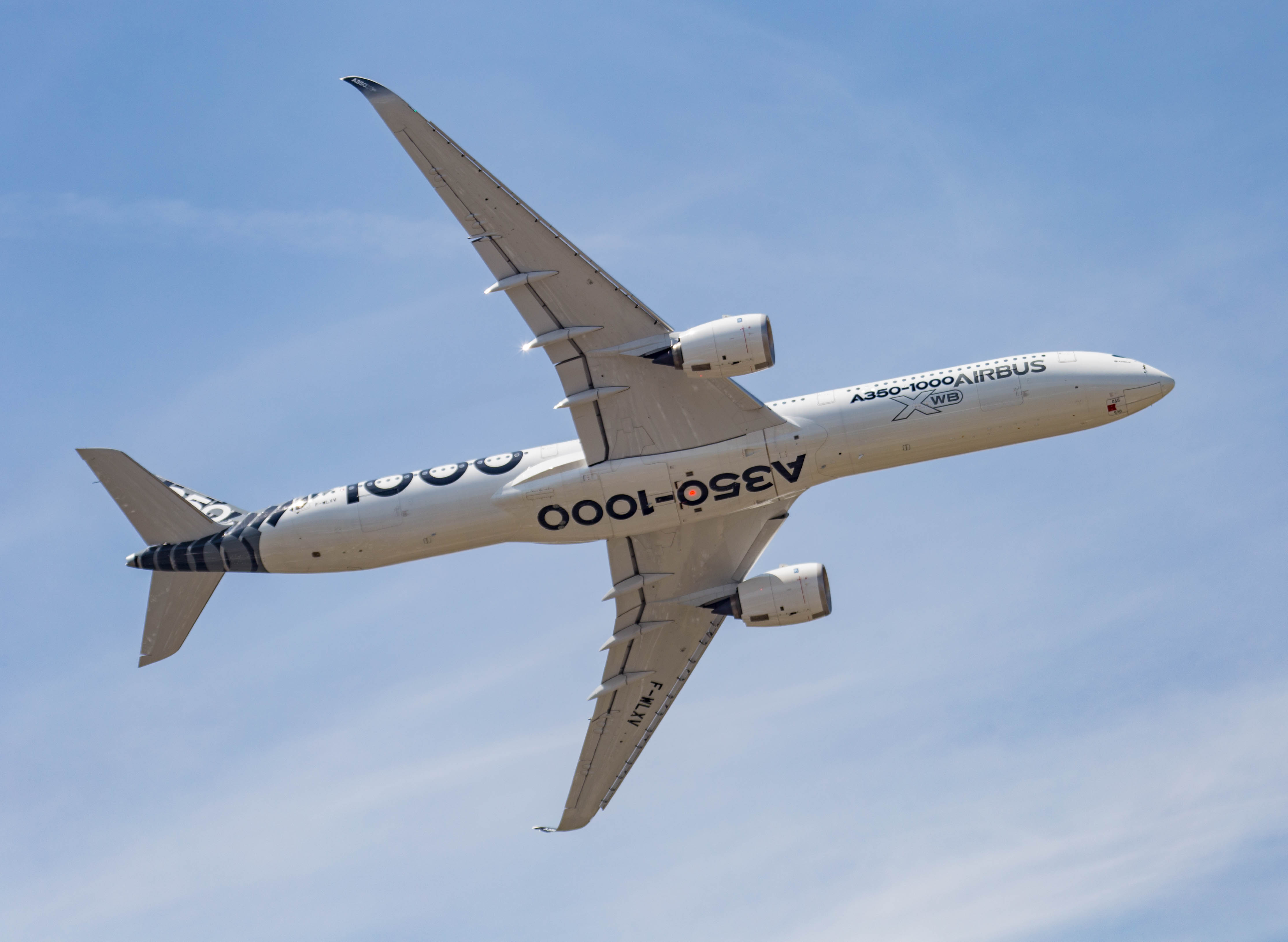 A350-1000 é a maior versão do A350, considerado um dos mais modernos aviões do mercado